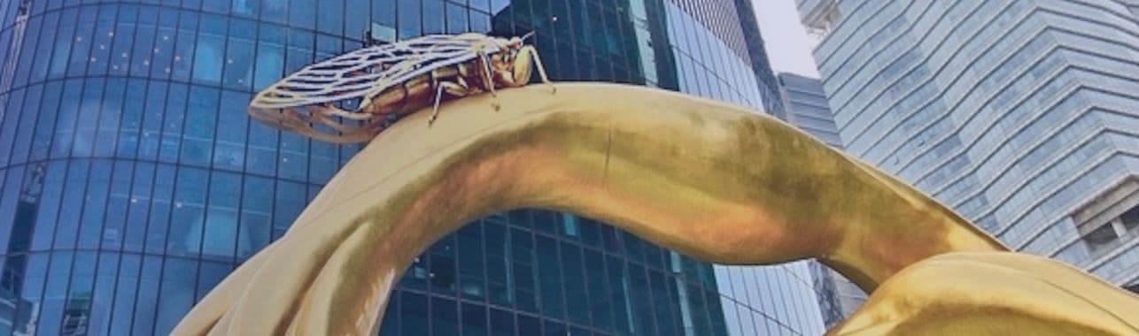 问鼎国际(中国区) - 官方网站